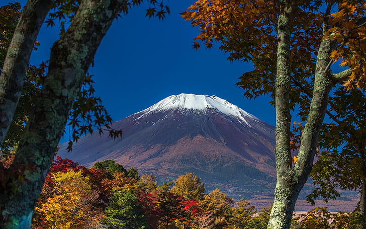Планината Фуджи, кафява планина, HD тапет