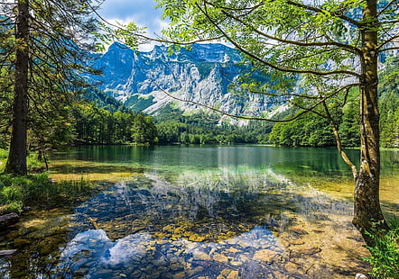 แหล่งน้ำและต้นไม้ใบไม้สีเขียวภูมิทัศน์ภูเขาป่าไม้แม่น้ำฤดูใบไม้ผลิ, วอลล์เปเปอร์ HD HD wallpaper