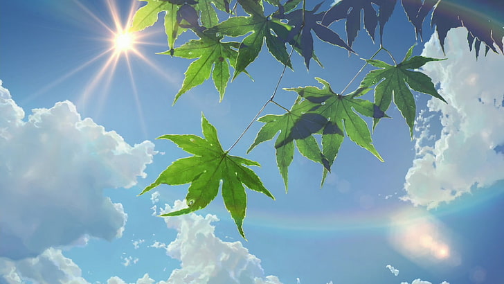 зеленые лиственные растения, зеленые листья конопли под слоисто-кучевые облака, лето, солнечный свет, листья, сад слов, солнечные лучи, облака, макото синкай, аниме, природа, солнце, небо, HD обои