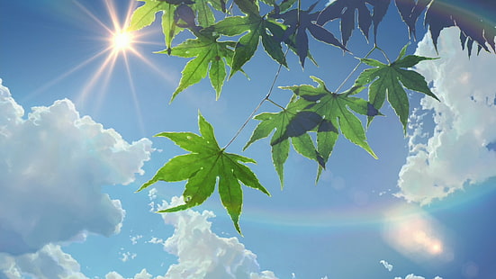 tanaman berdaun hijau, ganja hijau meninggalkan di bawah awan stratocumulus, musim panas, sinar matahari, daun, Taman Kata-kata, sinar matahari, awan, Makoto Shinkai, anime, alam, matahari, langit, Wallpaper HD HD wallpaper