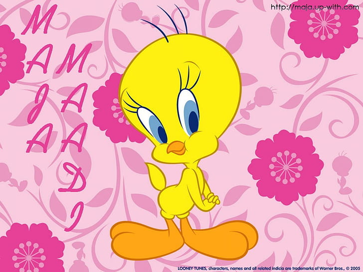 Tweety Looney Tunes Gh Pictures Free, zwariowane, zdjęcia, melodie, tweety, Tapety HD
