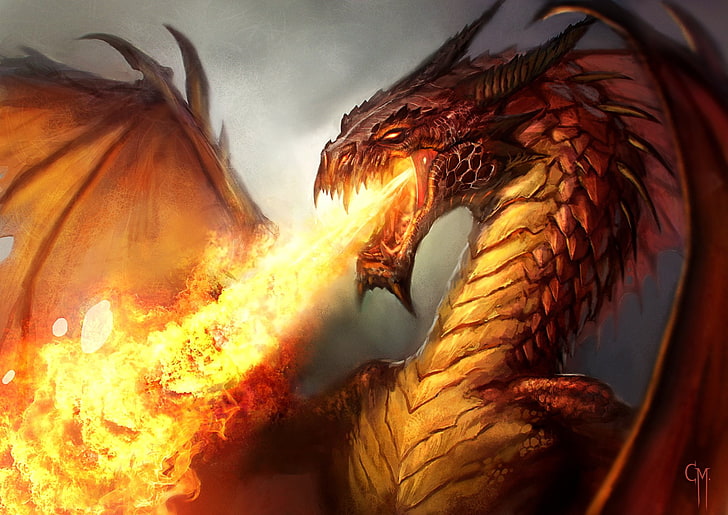 Fantasy, Dragon, Fire, HD wallpaper