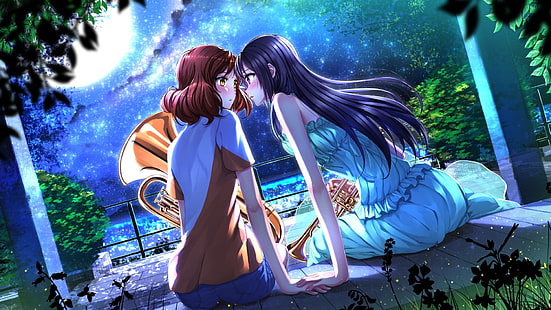 Schwertseelen, Anime, Anime Girls, Hibike!Euphonium, Kousaka Reina, Oumae Kumiko, Yuri, HD-Hintergrundbild HD wallpaper