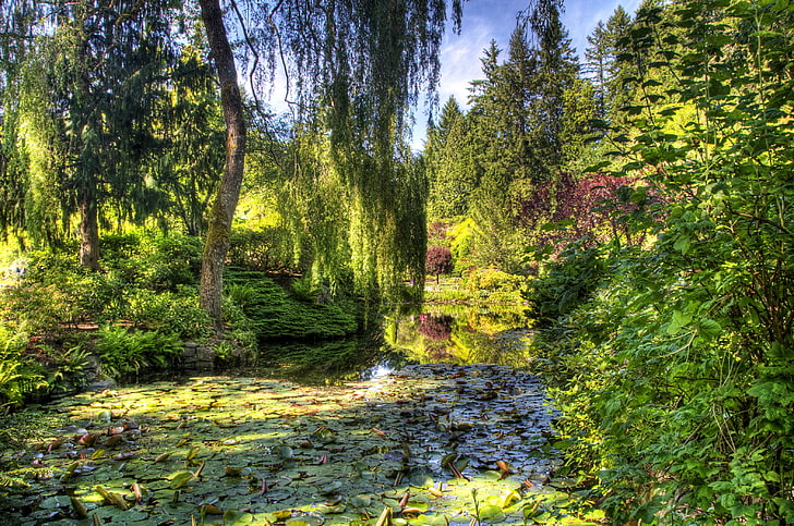 greens, trees, pond, garden, Canada, the bushes, Victoria, Butchart Gardens, HD wallpaper