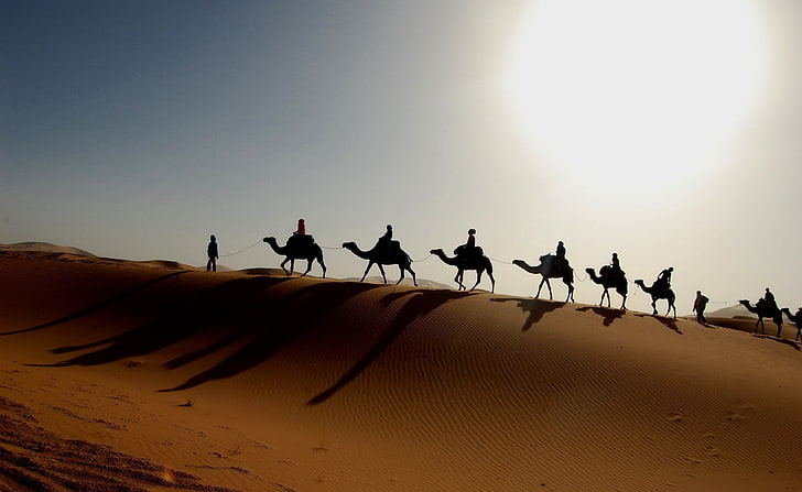 Desert Caravan, silhouette of men riding camels, Nature, Desert, Caravan, HD wallpaper