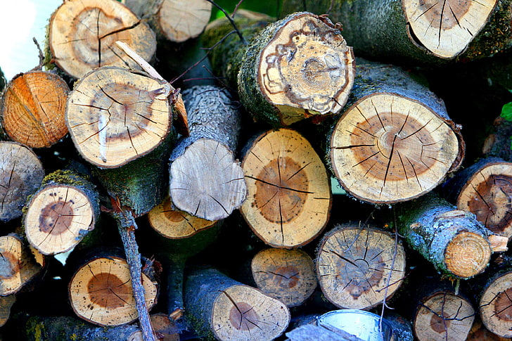 brun, hackat trä, drivved, ved, skog, grön, lövträ, modernatur, natur, naturpark, trä, träfat, HD tapet