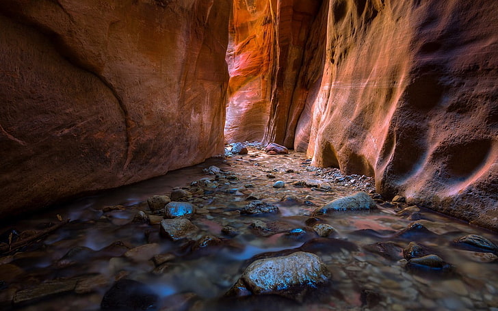 Foto de enfoque selectivo de cueva, naturaleza, Fondo de pantalla HD