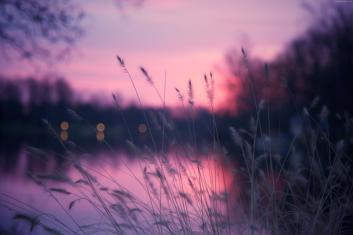 ungu, matahari terbenam, 4k, Danau, rumput, Wallpaper HD