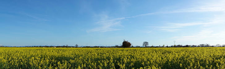 зелено цветно поле под синьо и облачно небе през деня, поле, панорама, зелено, цвете, синьо, облачно, небе, през деня, sony RX100, природа, земеделие, маслодайна рапица, жълто, селска сцена, ферма, рапица, на открито, лято, пейзаж, реколта, HD тапет