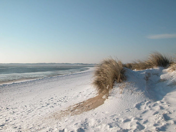 plage, allemagne, norddeutschand, mer du nord, soleil, hiver, hiver, Fond d'écran HD