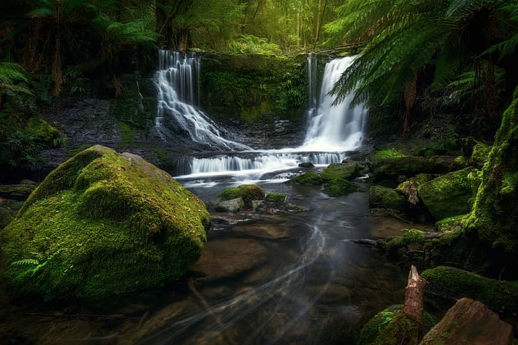 Australien, Wald, Natur, Dschungel, Wasserfall, Steine, Moos, Bäume, HD-Hintergrundbild