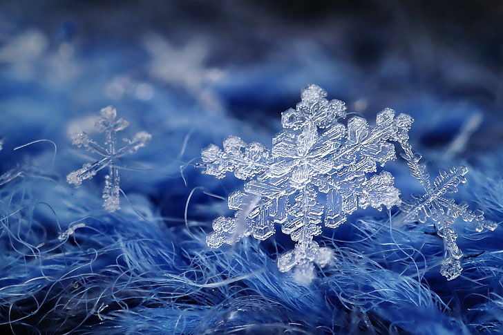 snowflakes, macro, background, snowflake, HD wallpaper