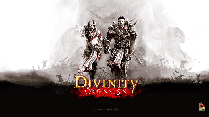 Divinity Original Sin wallpaper, divinity original sin, rpg, fantasy, larian studios, 2014, HD wallpaper