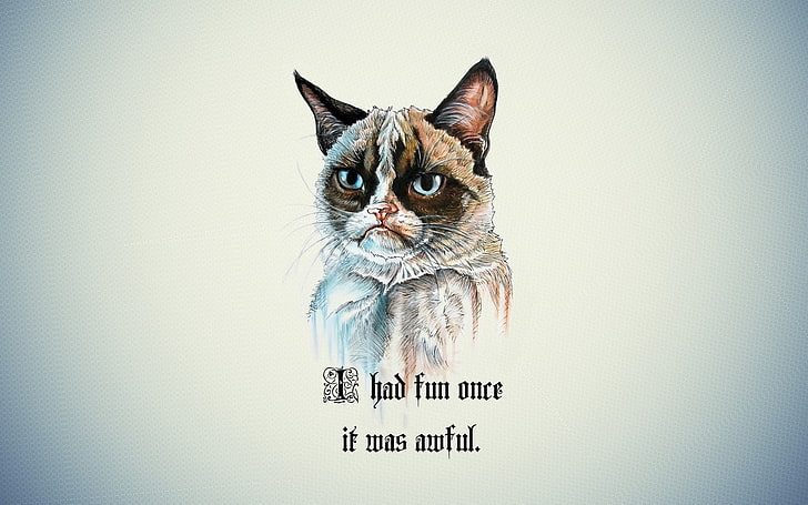 white background with text overlay, Grumpy Cat, quote, cartoon, animals, simple background, humor, typography, HD wallpaper