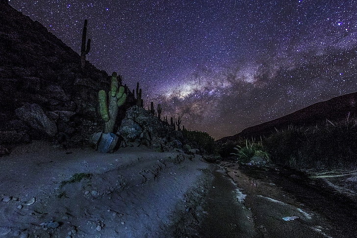 фотография, природа, пейзаж, горы, Млечный путь, звездная ночь, кактус, галактика, длительная выдержка, пустыня Атакама, Чили, HD обои