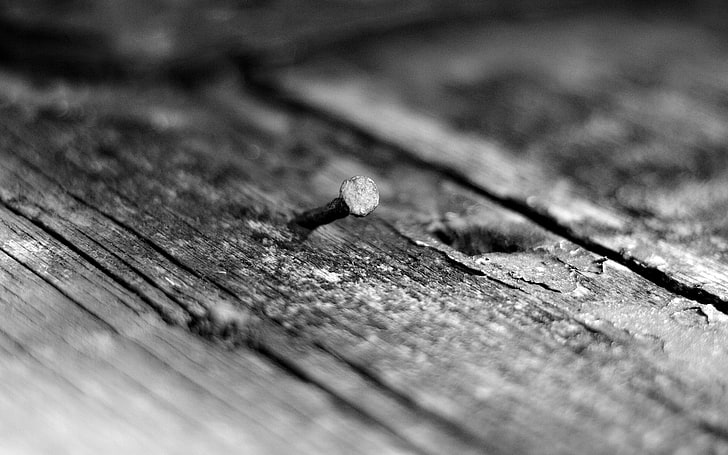 gray steel nail, nail on brown wooden plank, monochrome, nails, wood, texture, macro, depth of field, photography, HD wallpaper
