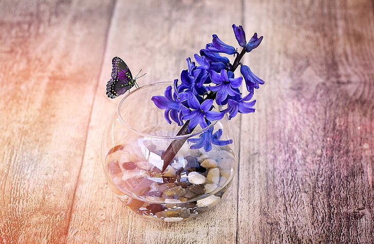 En vårhyacintblomma i glasvas, blå blommor, Vintage, blå, blomma, vår, fjäril, blommor, trä, stänga, glas, doftande, hyacint, söt, vår, vas, dekorativ, stilleben, doftande blomma, HD tapet