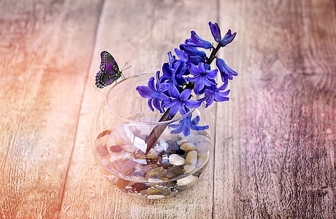 A Spring Hyacinth Flower In Glass Vase, blue flowers, Vintage, Blue, Flower, Spring, Butterfly, Flowers, Wood, Close, Glass, Fragrant, Hyacinth, Cute, Springtime, Vase, Decorative, stilllife, fragrantflower, HD wallpaper HD wallpaper