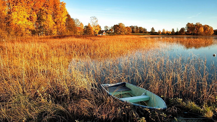 boat on a lake autumn-Nature HD Wallpaper, gray wooden boat, HD wallpaper