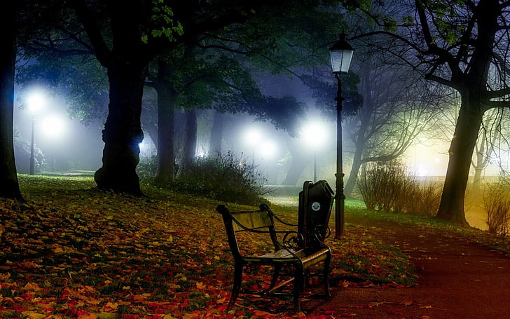 черная металлическая оправа коричневая деревянная скамейка в парке возле поста и деревьев цифровые обои, природа, пейзаж, туман, скамейка, фонарь, парк, путь, трава, листья, огни, кустарники, деревья, ночь, Канада, HD обои