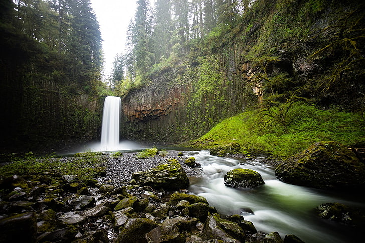 森の滝、自然、滝、岩、苔、森、風景、岩の形成、オレゴン州、 HDデスクトップの壁紙