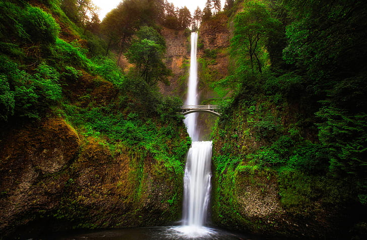greens, trees, landscape, bridge, rock, river, waterfall, stream, Oregon, gorge, USA, Multnomah, HD wallpaper