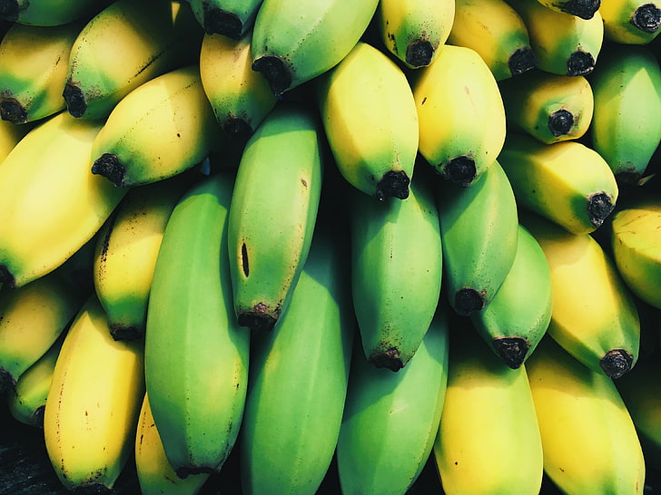 ripe banana, bananas, fruits, many, HD wallpaper