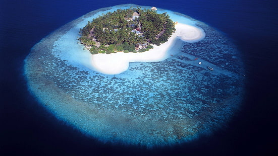 fotografia de vista aérea de ilhota, ilha, mar, palmeiras, coral, HD papel de parede HD wallpaper