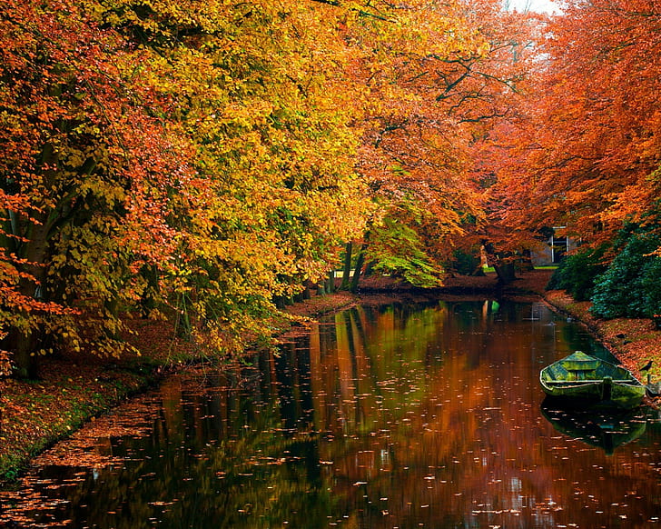 autum, autumn, landscape, leaf, leaves, nature, trees, HD wallpaper
