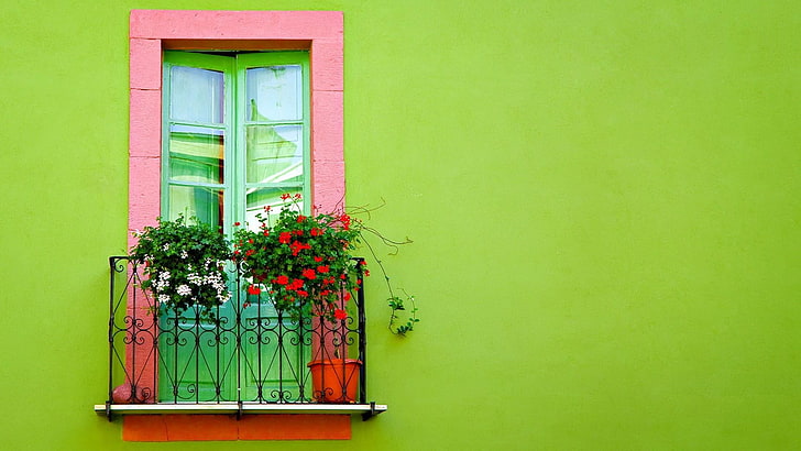 window, wall, green, flower, house, HD wallpaper