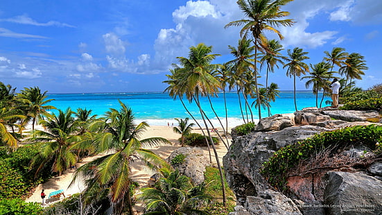 Bottom Bay Palm Beach, Barbados, Piccole Antille, Indie occidentali, Isole, Sfondo HD HD wallpaper