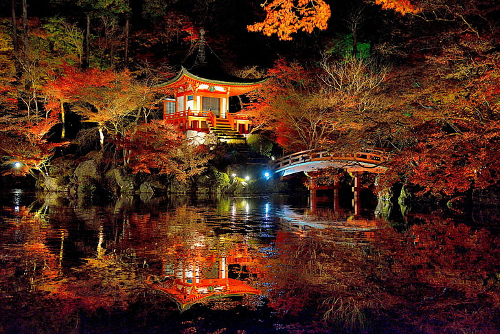 나무, 호수, 공원, 반사, 일본, 사쿠라, 교토, 연못, 다이 고지, HD 배경 화면