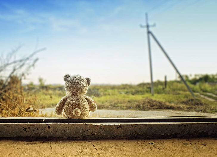 brown bear plush toy, the sky, nature, background, widescreen, Wallpaper, mood, toy, plants, bear, full screen, HD wallpapers, fullscreen, HD wallpaper