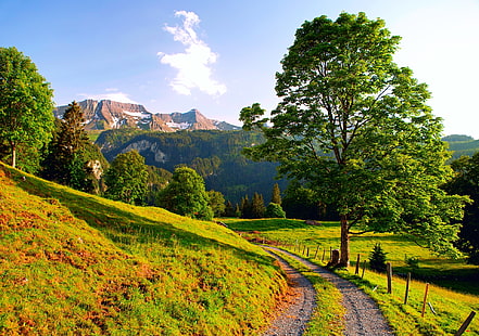 green leafed trees, switzerland, mountains, alps, road, summer, HD wallpaper HD wallpaper