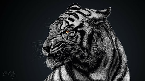 adult black and white tiger, tiger, selective coloring, animals, HD wallpaper HD wallpaper