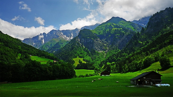 cabaña de madera marrón, naturaleza, paisaje, Alpes, montañas, cabaña, hierba, primavera, vaca, nubes, verde, bosque, Fondo de pantalla HD