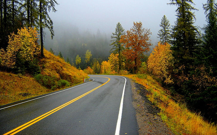 Autumn Road Trip, trees, forest, fall, roads, autumn, nature and landscapes, HD wallpaper
