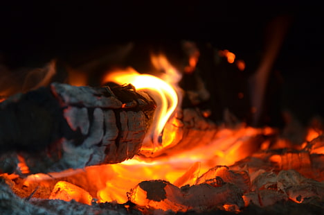 огонь, красный, желтый, дерево, тепло, горячие угли, HD обои HD wallpaper