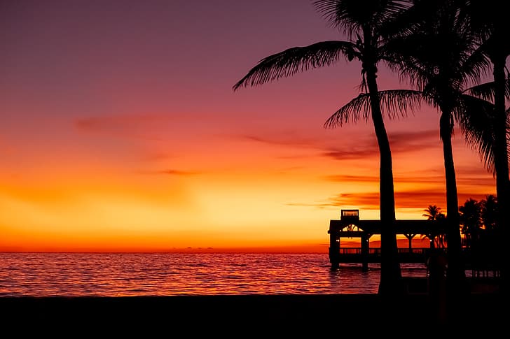 solnedgång, strand, palmer, pir, brygga, minimalism, natur, himmel, violett (färg), rosa moln, key-west, Florida, USA, havsutsikt, hav, sommar, HD tapet