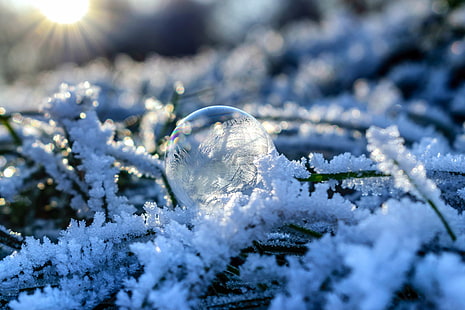 kalt, frost, gefroren, eis, eisig, jahreszeit, schnee, schneeflocke, HD-Hintergrundbild HD wallpaper