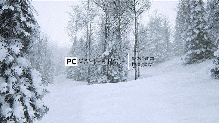 PC master race реклама, меми, HD тапет