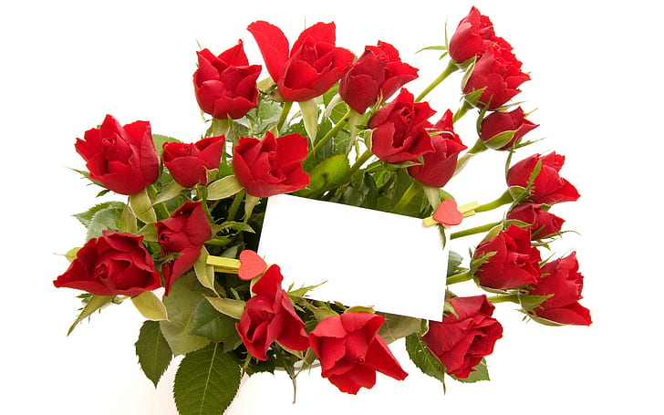 rose di San Valentino per San Valentino, bouquet di rose rosse, San Valentino, Rose, San Valentino, Sfondo HD