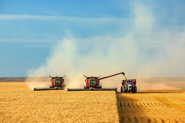 tiga traktor merah, lapangan, langit, panen, pembersihan, pemanen, Wallpaper HD