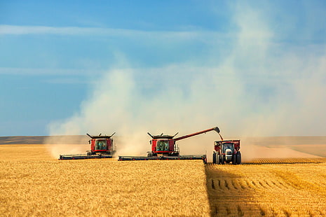 tre röda traktorer, fält, himmel, skörd, städning, skördare, HD tapet HD wallpaper