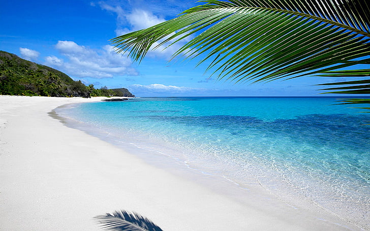 Fiji Beach-Landscape HD Wallpaper, pohon palem, Wallpaper HD