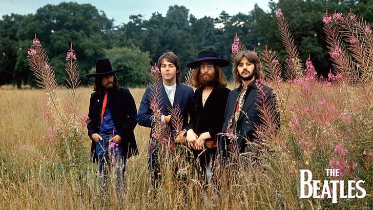 The Beatles, Paul McCartney, John Lennon, George Harrison, Ringo Starr, uomini, musicista, barba, Sfondo HD