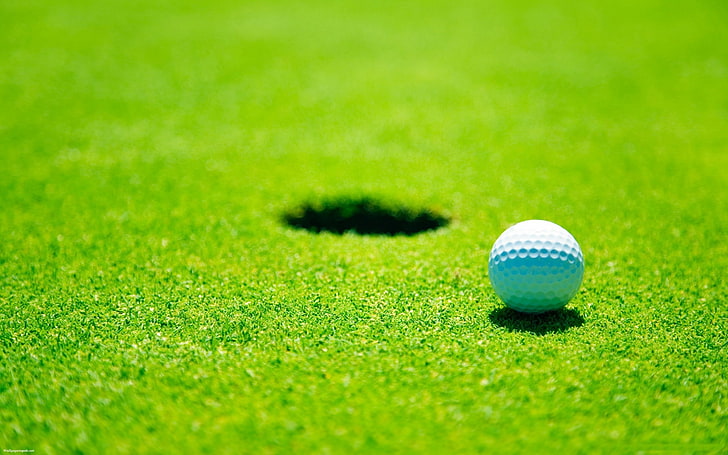 golf, bola, rumput, hijau, olahraga, olahraga, Wallpaper HD