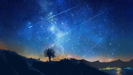 noche, estrellas fugaces, paisaje, Anime, Fondo de pantalla HD HD wallpaper