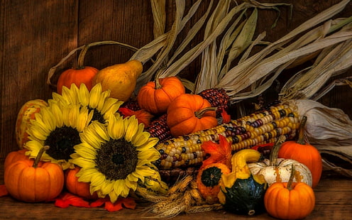 Fotografie, Stillleben, Mais, Herbst, Kürbis, Kürbis, Sonnenblume, Weizen, HD-Hintergrundbild HD wallpaper