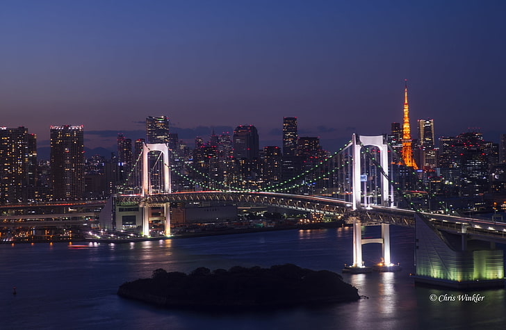 Tokyo Attractions, gray suspension bridge, Asia, Japan, City, Night, Sunset, Tower, Sony, Cityscape, Bridge, Tokyo, Odaiba, Alpha, nightscape, autofocus, HD wallpaper